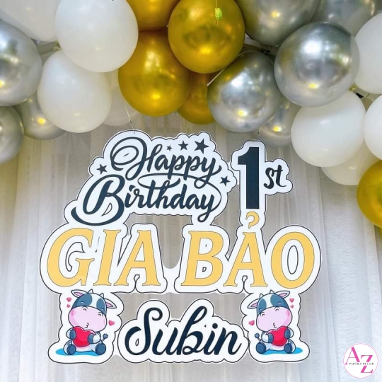 Sinh Nhật Bé Trai (Hình Khách)
