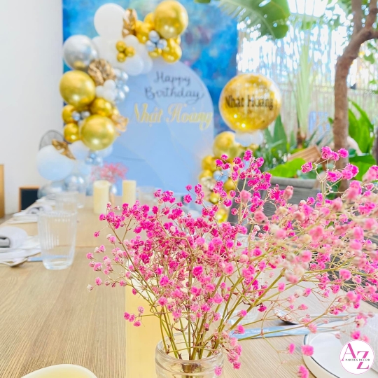Sinh nhật người lớn (Hình Khách)
