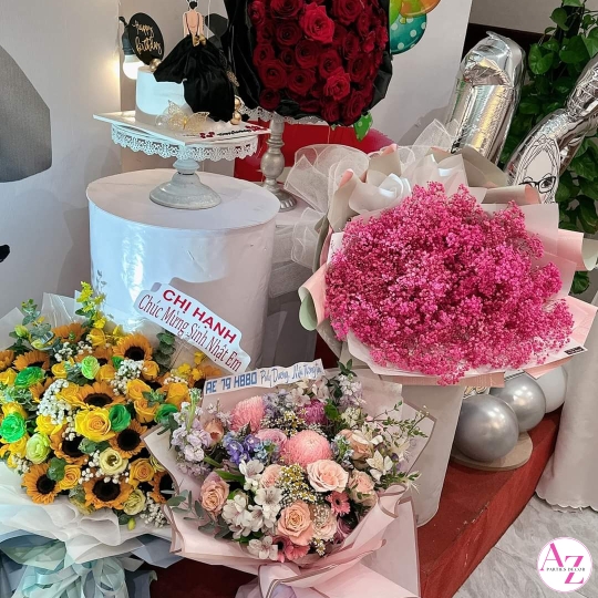 Sinh nhật người lớn (Hình Khách)