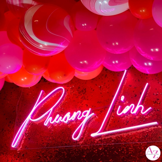 Sinh nhật người lớn (Hình Khách)